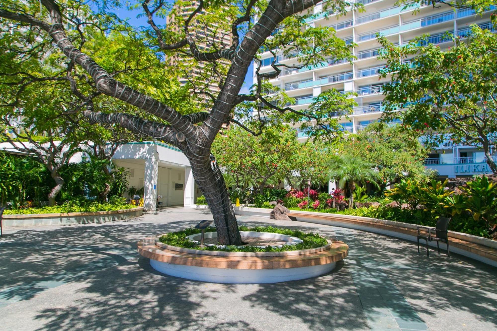 Ilikai Tower 701 View 1br Apartment *